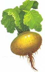 ropė